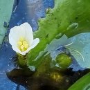 물밤농장 이미지