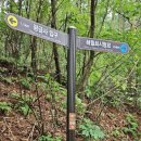 여강길(11코스 동학의길) | 여주여강길 11코스(동학의 길) 걷기 - 2024.06.09