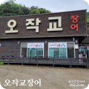 오작교장어 이미지