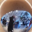 인필드(INFEELD) 네이버블로그