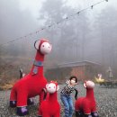 이호한옥