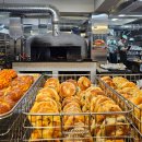 코끼리 | 인사동 베이글 맛집 코끼리베이글｜주말 방문후기