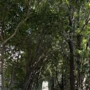 현인자동차정비 | 🇯🇵 친구와 짧굵 도쿠시마 DAY2 -2, DAY3 / 빈티지샵 meet me Here / 카페 North Shore / 도쿠시마 이온...