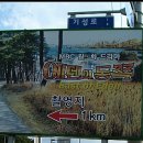 월송정 이미지