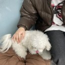 24시알파동물메디컬센터 이미지