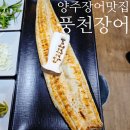 풍천장어 | 양주장어맛집 숙성된듯 쫄깃한 찐로컬 풍천장어 방문 후기
