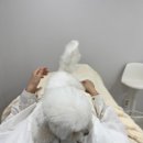 해운대로 483번길 10 | 해운대 속눈썹펌 연장 잘하는헤로이뷰티 (주차, 후기)