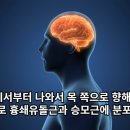 강녕한의원 이미지