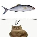 동방휴게실 이미지
