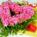 아름다운 꿈 이미지