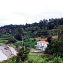 젠 하우스 이미지