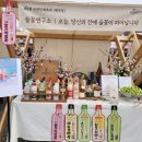 🌸어느 봄날, 당신의 잔에 술꽃이 피어났습니다.(제8회 순천탐매축제 후기)