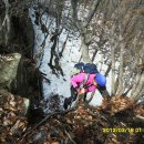 암봉농장 이미지