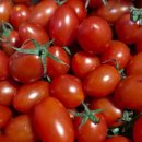 도요의원 이미지