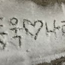 도싯골 본점 이미지