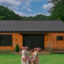 보리네민박 이미지