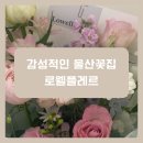 [리뷰] 감성적인 울산꽃집 로웰플레르에서 꽃다발 준비, 대성공 후기💘