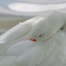 은은통신 이미지