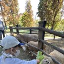 인우목장 이미지