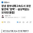 창녕 중부내륙고속도로서 포탄 발견에 깜짝...살상력없는 모의탄 이미지