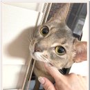 아이조아 요양보호소 경기광주 이미지