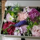 더라온플라워 이미지