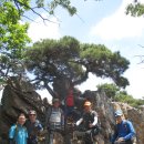 표교초교 이미지