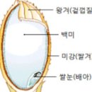 유나농산
