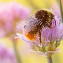 수림자원 이미지