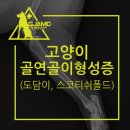 도담메디칼 이미지