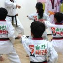 솔찬태권도 이미지