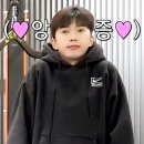 나의, 체육관 이미지