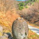 고은1리 | 경산[시골여행] 신라의 입성통로이자 남쪽을 여는 관문 용성면 고죽리, 지석묘와 천안전씨 집성촌