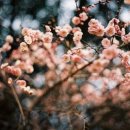 여전히;그날