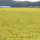 우복동사람들협동조합 이미지