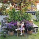 황룡스테이 이미지