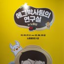돈버는 애벌레 이미지