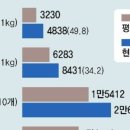 먹어본김밥 이미지