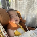 곡성-243 이미지