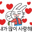 가람애견미용샵 이미지