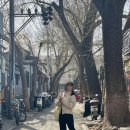 구름꽈배기.만두 | 1일 1식 特种兵旅游 어떤데