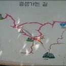 금샘 Daum카페