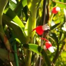 티지나SM 이미지