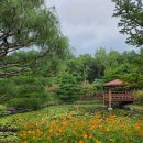 중원-72 | 성남 은행식물원 10월 방문 후기