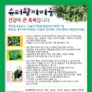 효자슈퍼 이미지