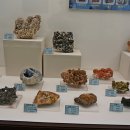 덕소자연사박물관 이미지