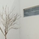 어느날 제주 애월 이미지