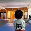 큰뿌리태권도 | 서초태권도 수업 후기 – 아이 중심 케어가 다른 곳