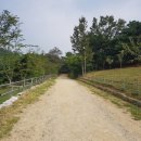 칠곡양떼목장 이미지