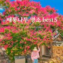환성정 | 놓치면 아쉬운 8월 배롱나무 명소 Best5, 대구 신숭겸장군유적지 외